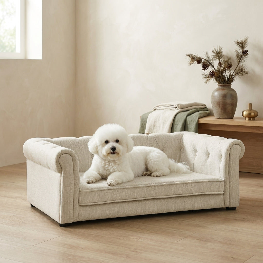 Orthopedic, Elevated, or Cave? The Honest Dog Bed Buying Guide