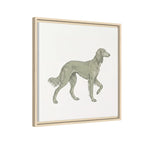 The Saluki Canvas — Framed Hound Print