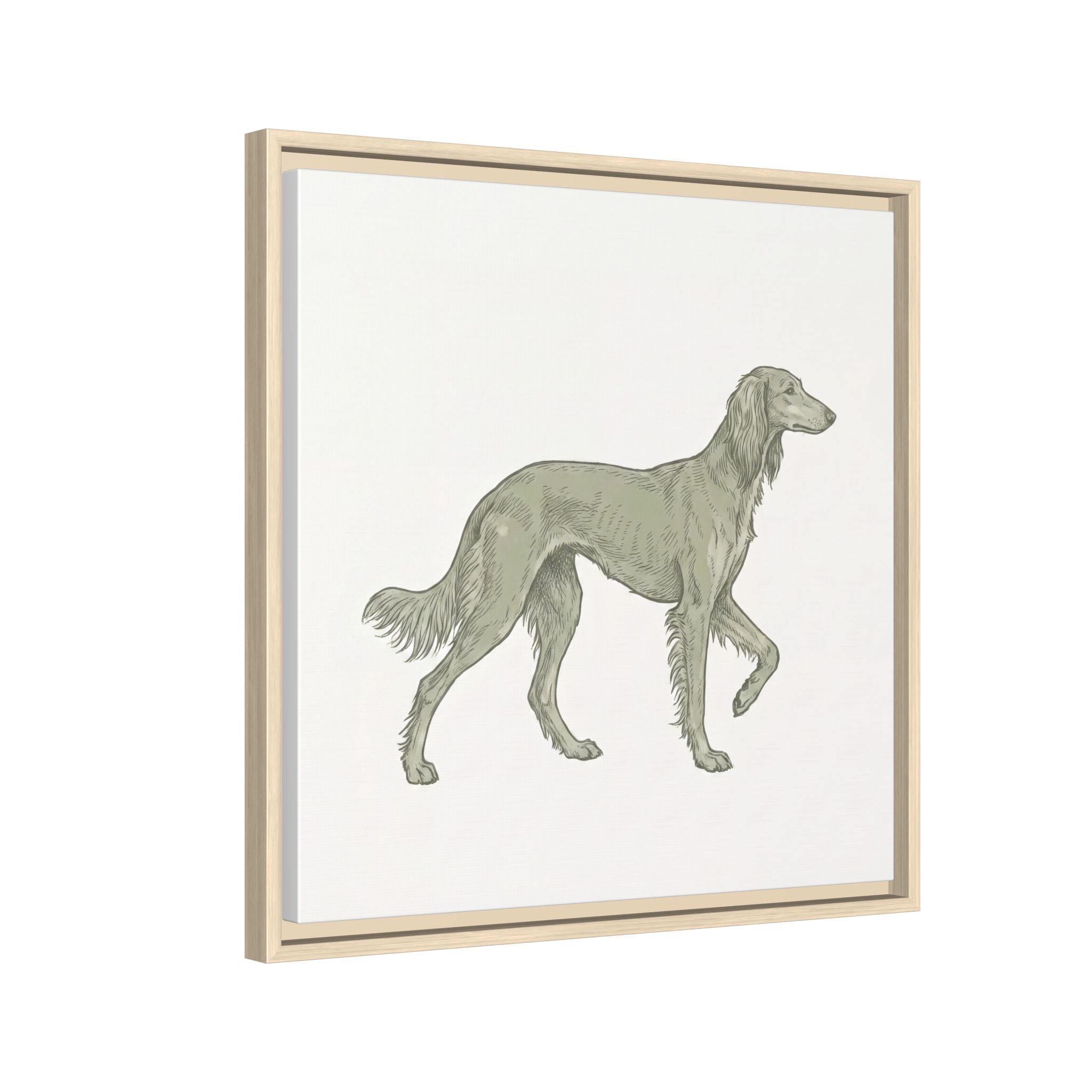 The Saluki Canvas — Framed Hound Print