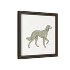 The Saluki Canvas — Framed Hound Print