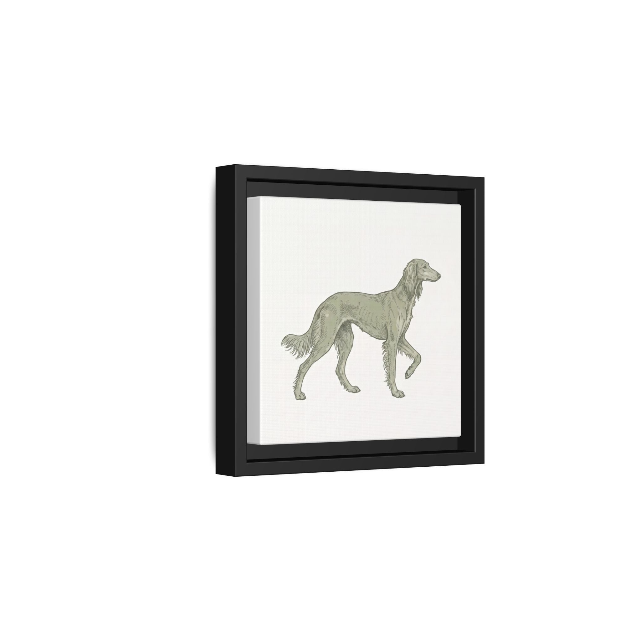 The Saluki Canvas — Framed Hound Print