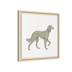 The Saluki Canvas — Framed Hound Print