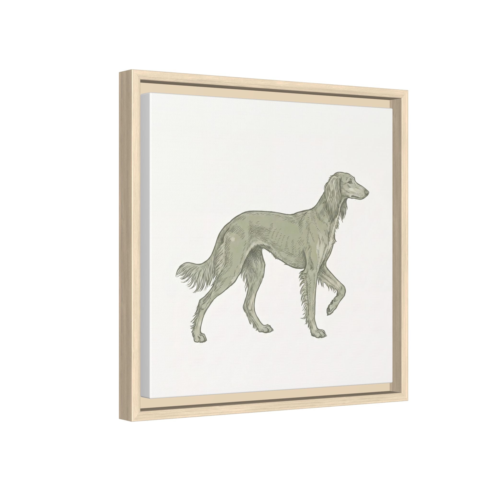 The Saluki Canvas — Framed Hound Print