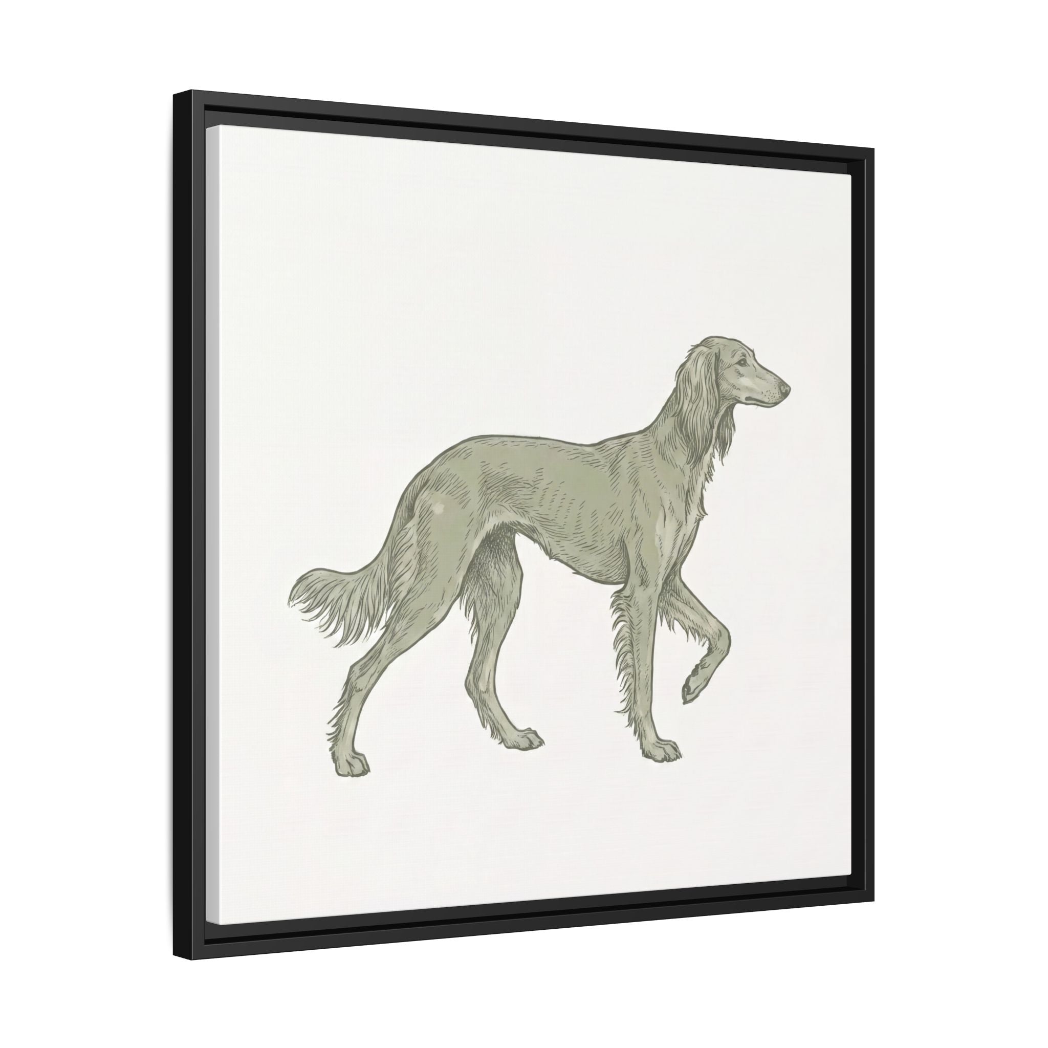 The Saluki Canvas — Framed Hound Print