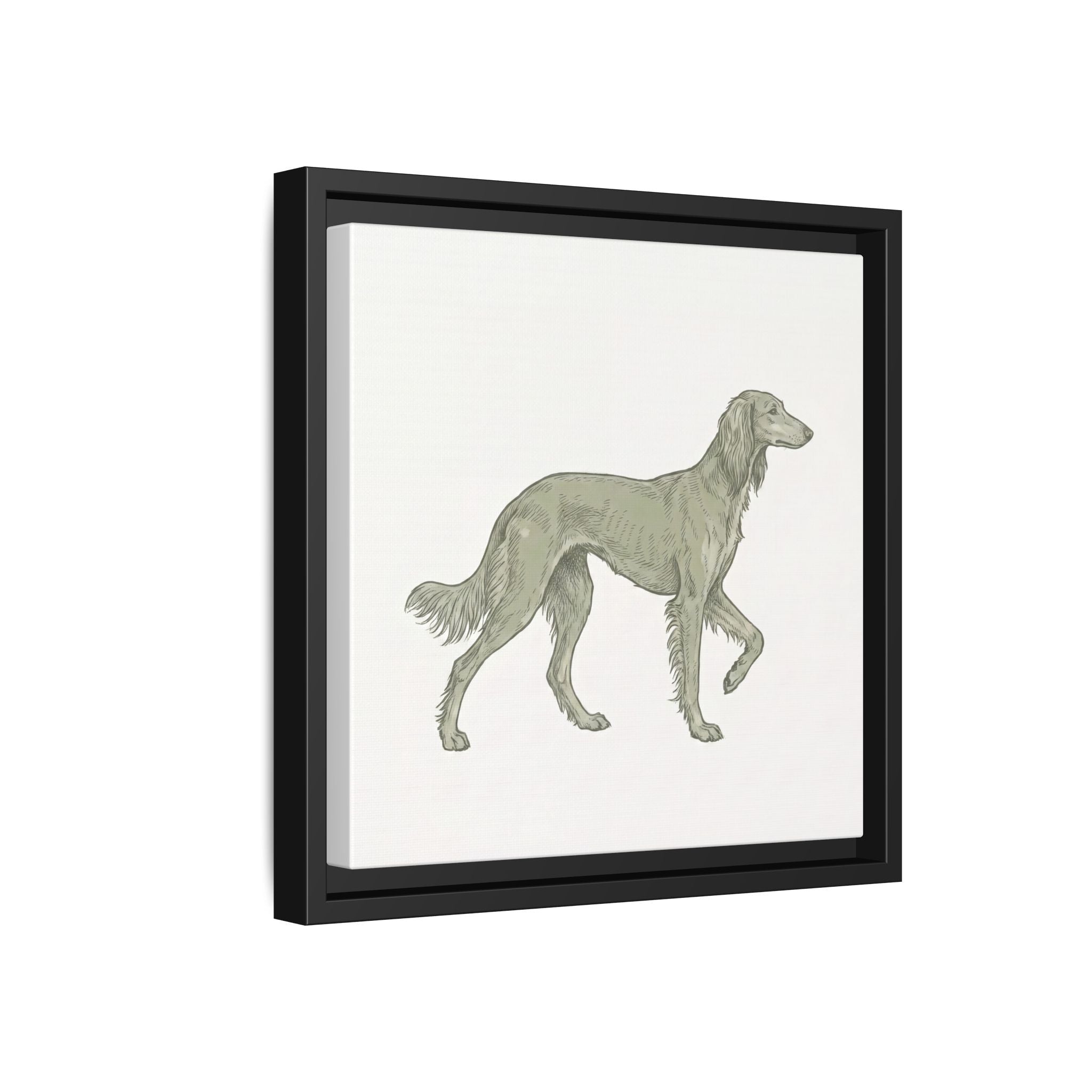 The Saluki Canvas — Framed Hound Print
