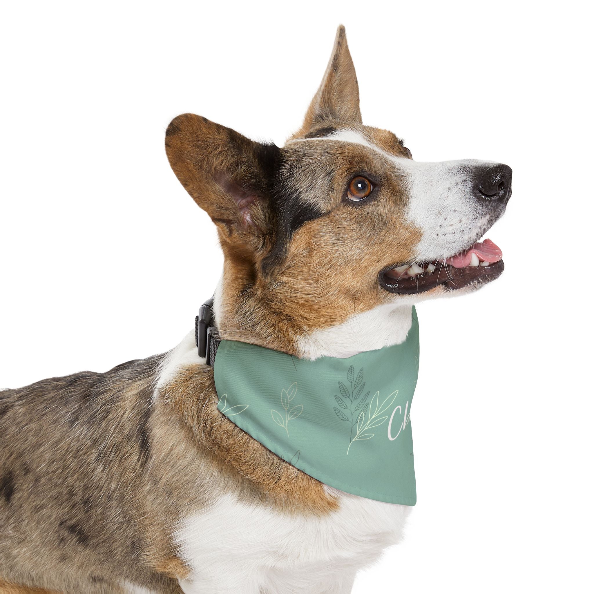 Custom Name Sage Green Botanical Dog Bandana | Adjustable Collar Bandana with Leash D-Ring | Minimalist Luxury Neutral Pet Accessories — view 11