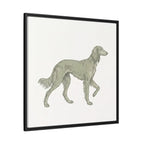 The Saluki Canvas — Framed Hound Print