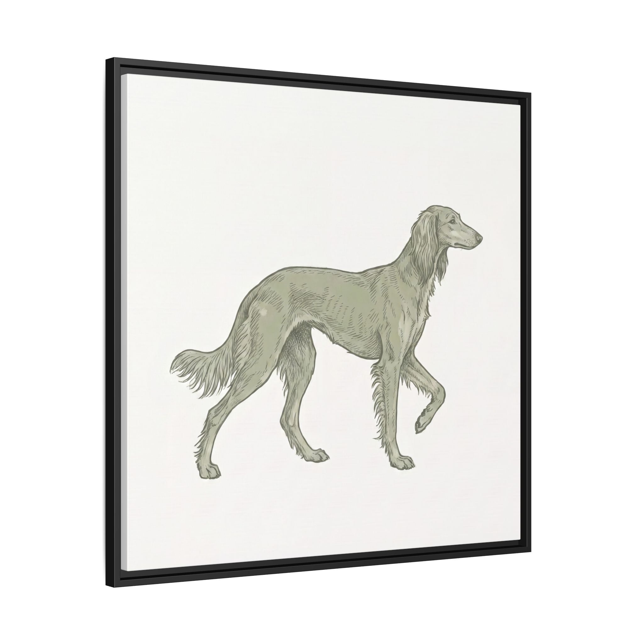 The Saluki Canvas — Framed Hound Print