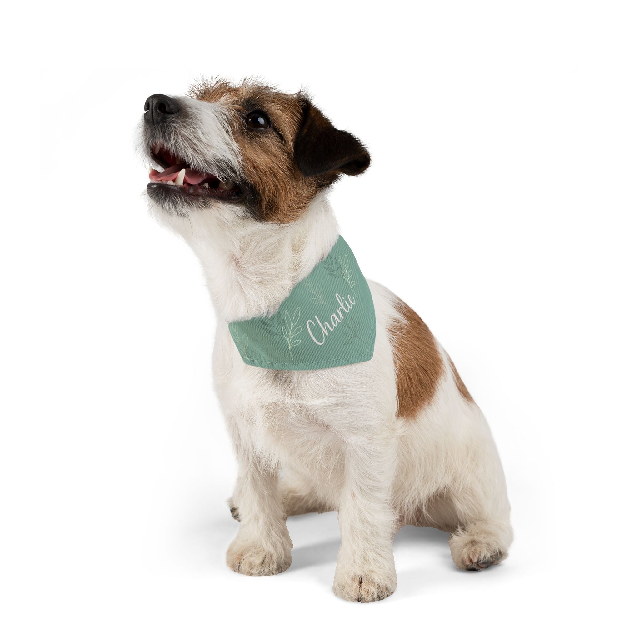 Custom Name Sage Green Botanical Dog Bandana | Adjustable Collar Bandana with Leash D-Ring | Minimalist Luxury Neutral Pet Accessories — view 8
