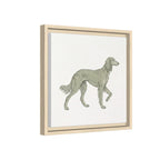 The Saluki Canvas — Framed Hound Print