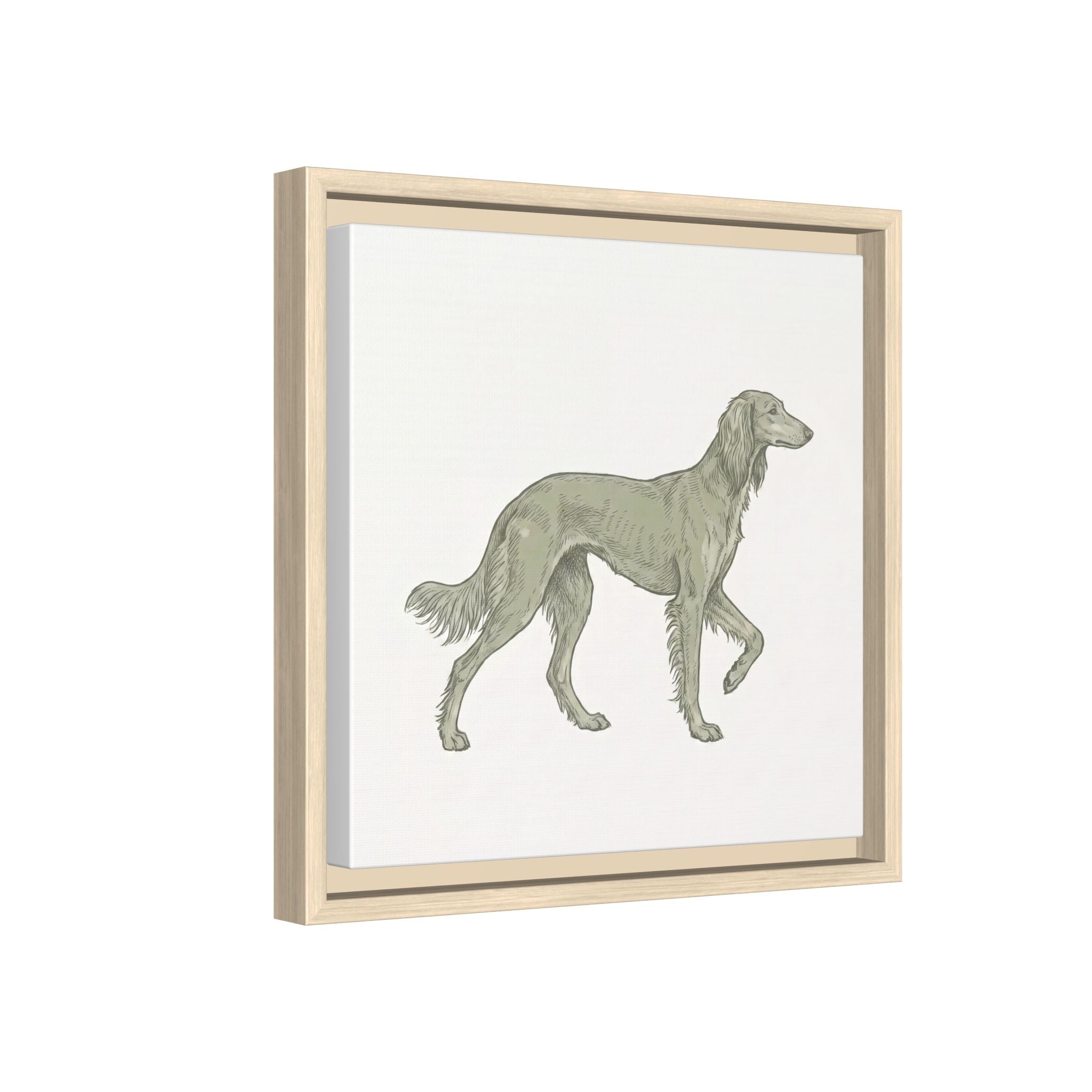 The Saluki Canvas — Framed Hound Print
