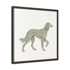 The Saluki Canvas — Framed Hound Print