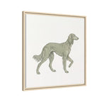 The Saluki Canvas — Framed Hound Print