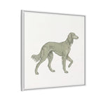The Saluki Canvas — Framed Hound Print