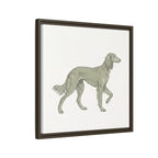 The Saluki Canvas — Framed Hound Print