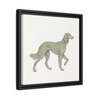 The Saluki Canvas — Framed Hound Print