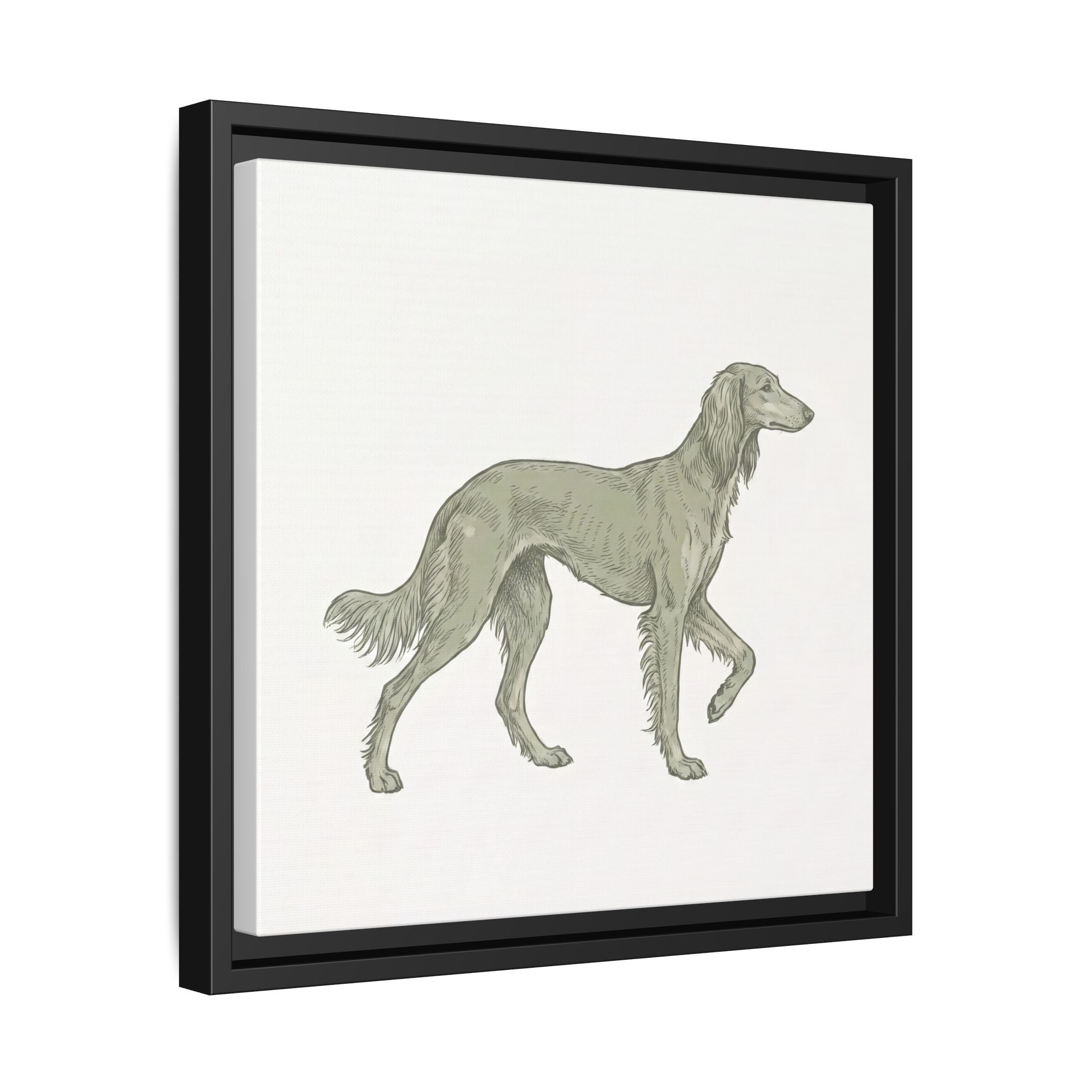 The Saluki Canvas — Framed Hound Print