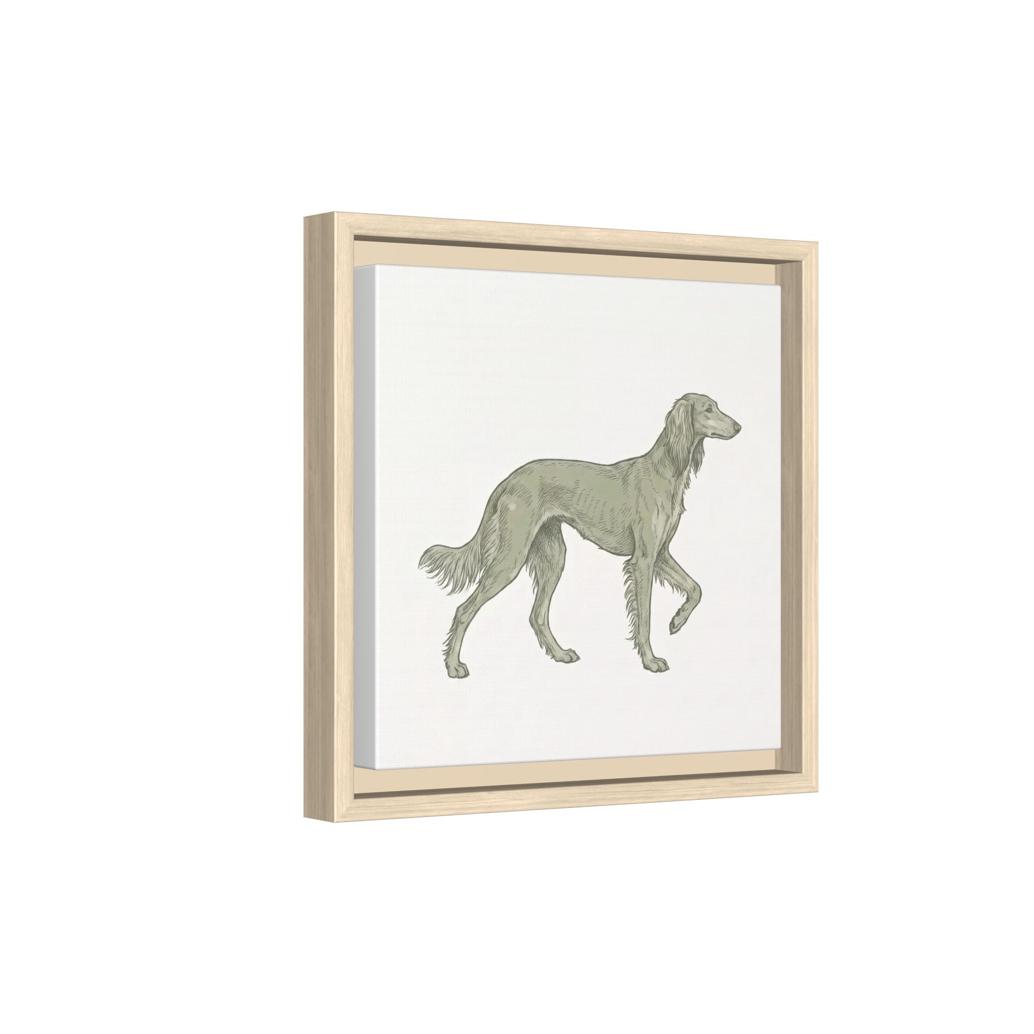 The Saluki Canvas — Framed Hound Print