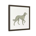 The Saluki Canvas — Framed Hound Print