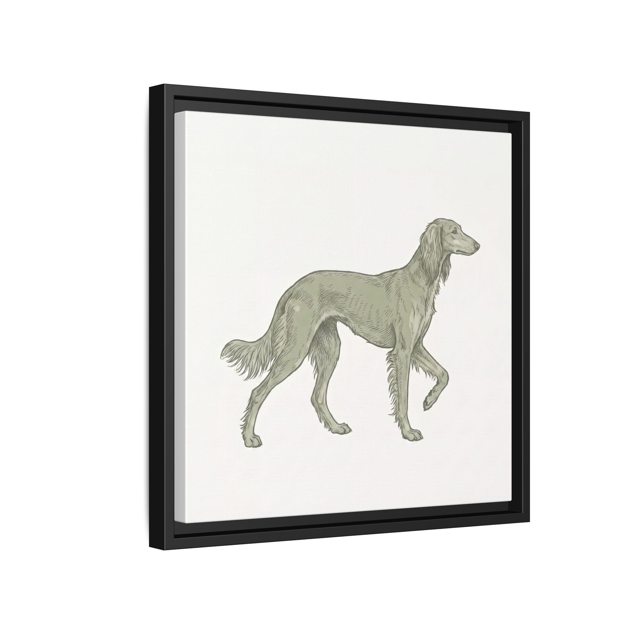 The Saluki Canvas — Framed Hound Print