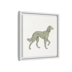 The Saluki Canvas — Framed Hound Print