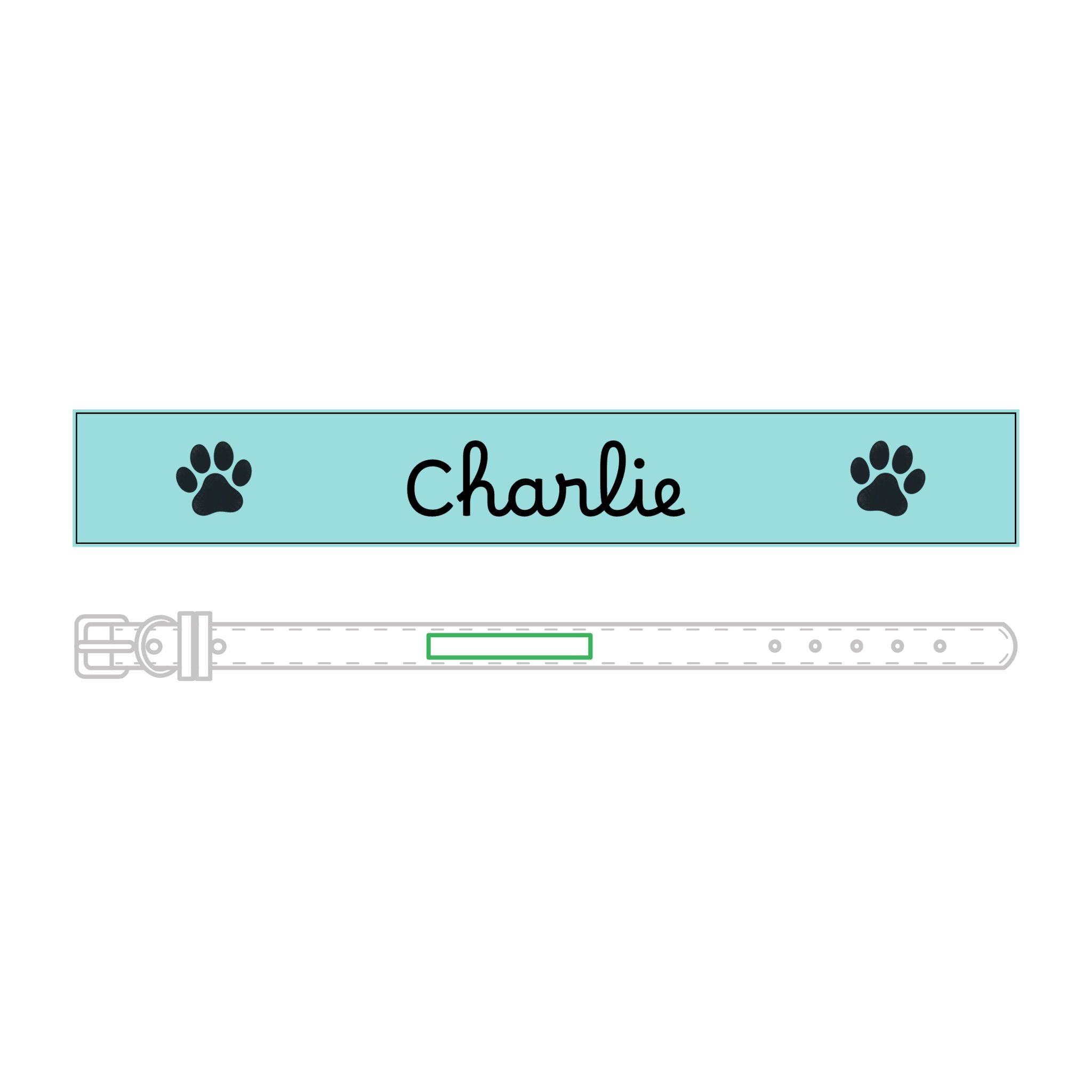 The Engraved Leather Collar — Name & Paw Print — view 28