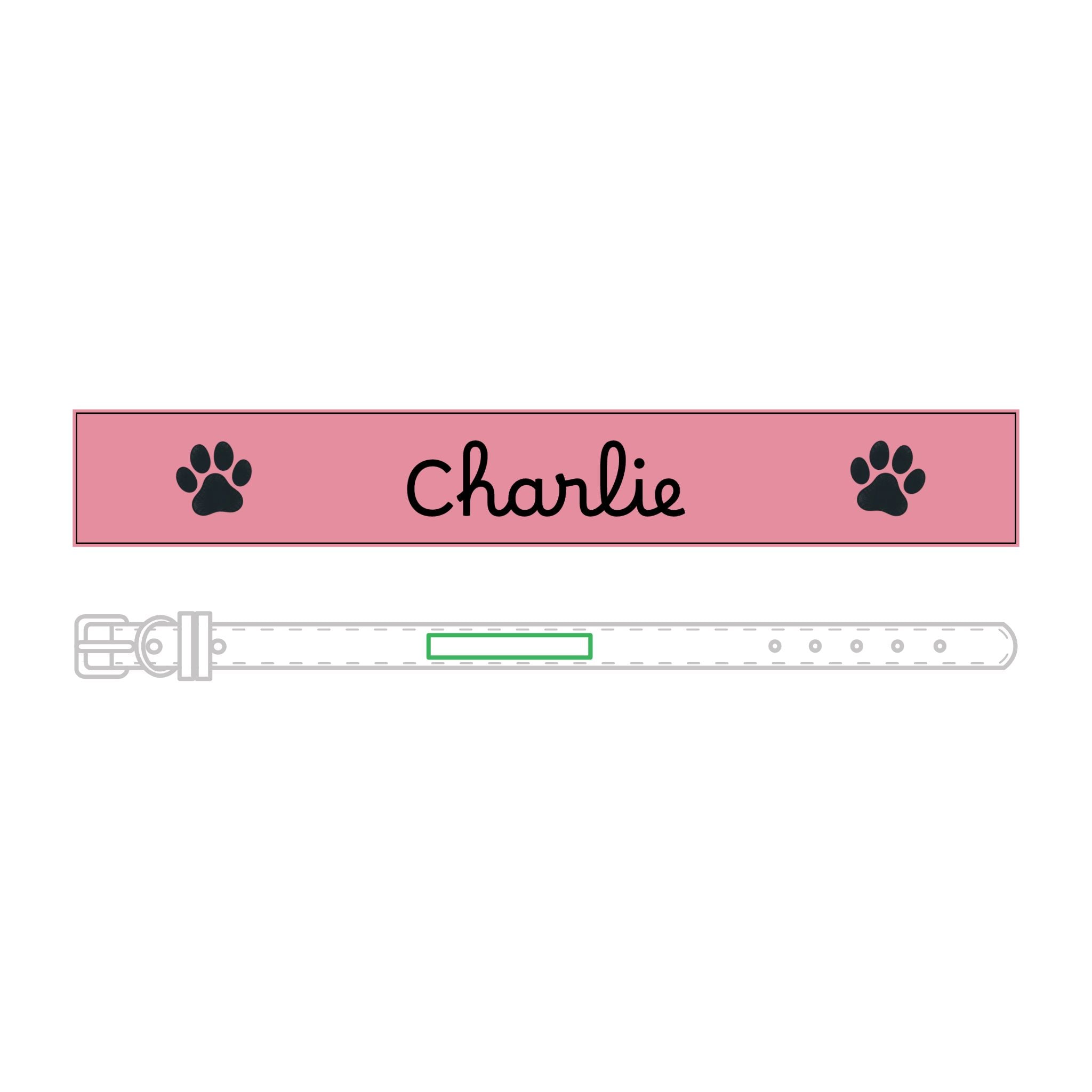The Engraved Leather Collar — Name & Paw Print — view 25