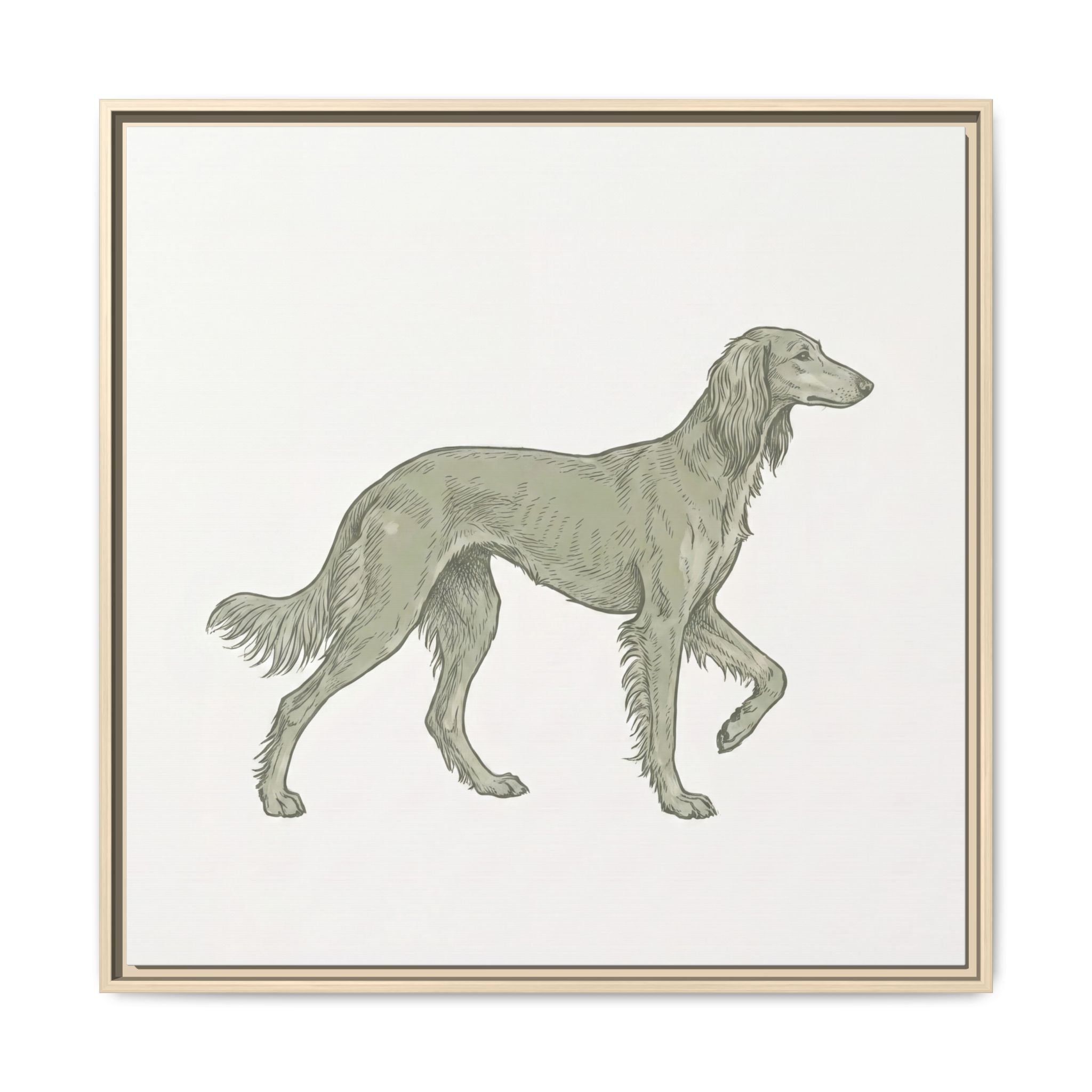 The Saluki Canvas — Framed Hound Print — view 29