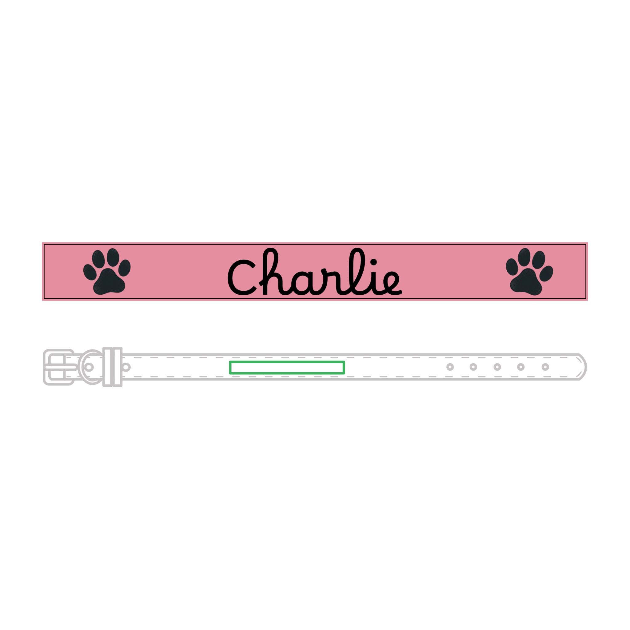 The Engraved Leather Collar — Name & Paw Print — view 9