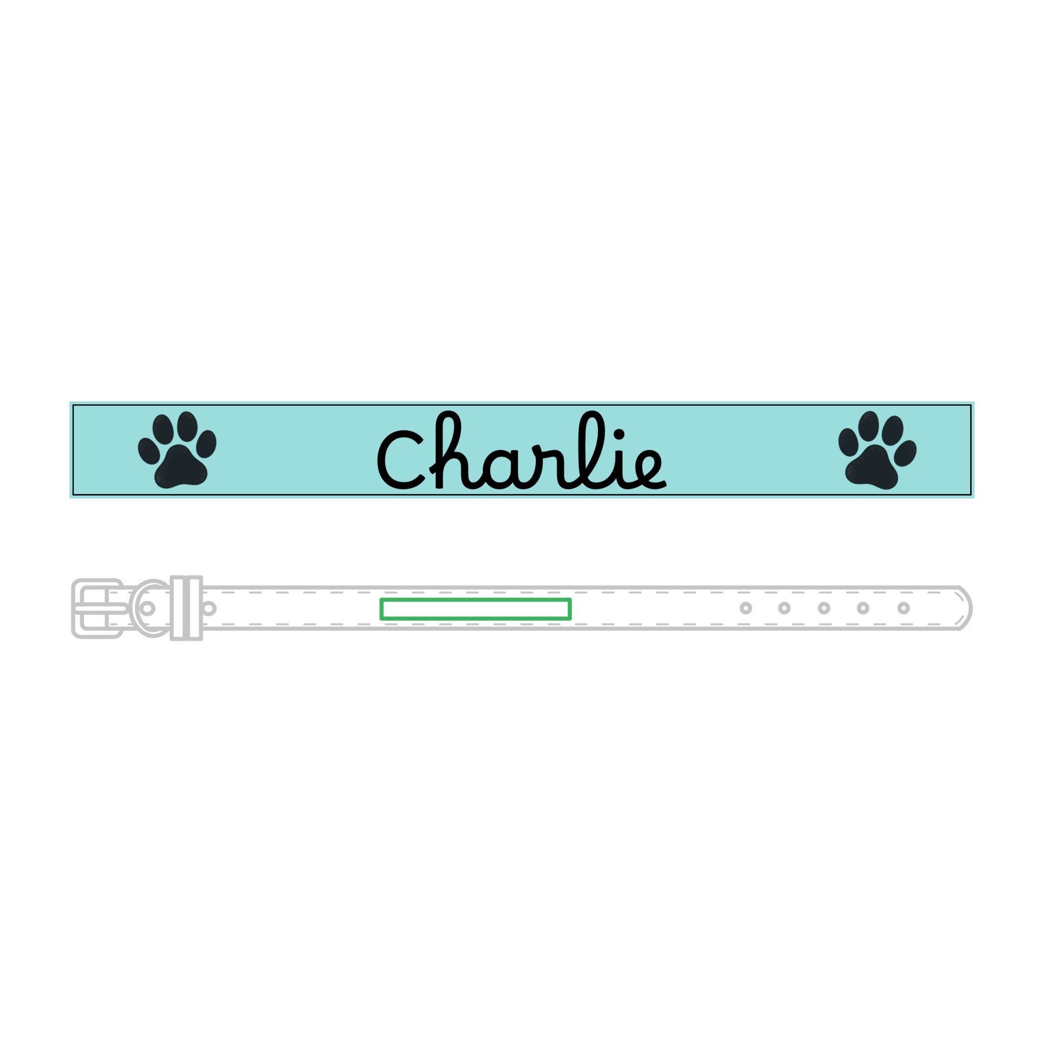The Engraved Leather Collar — Name & Paw Print — view 12
