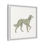 The Saluki Canvas — Framed Hound Print