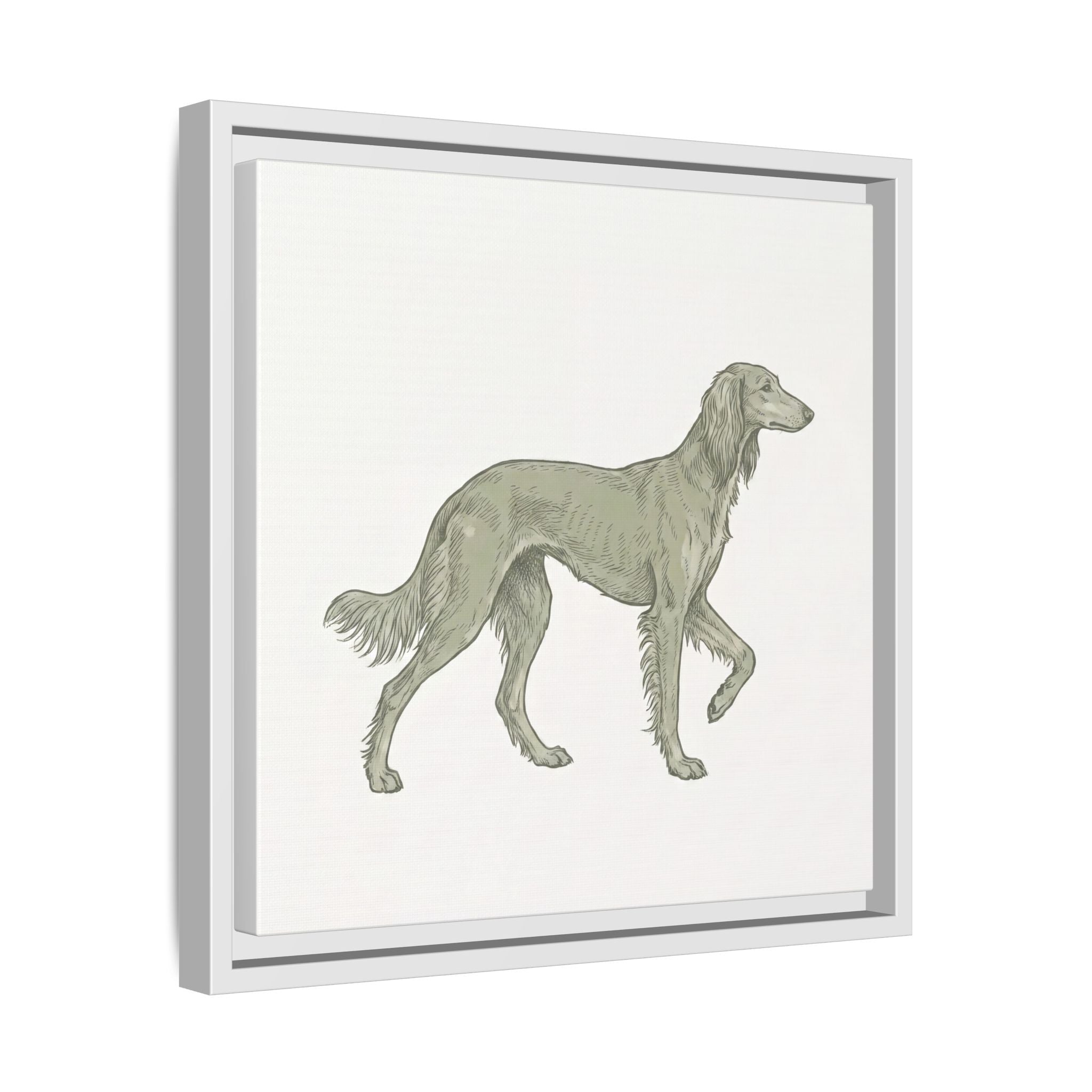 The Saluki Canvas — Framed Hound Print