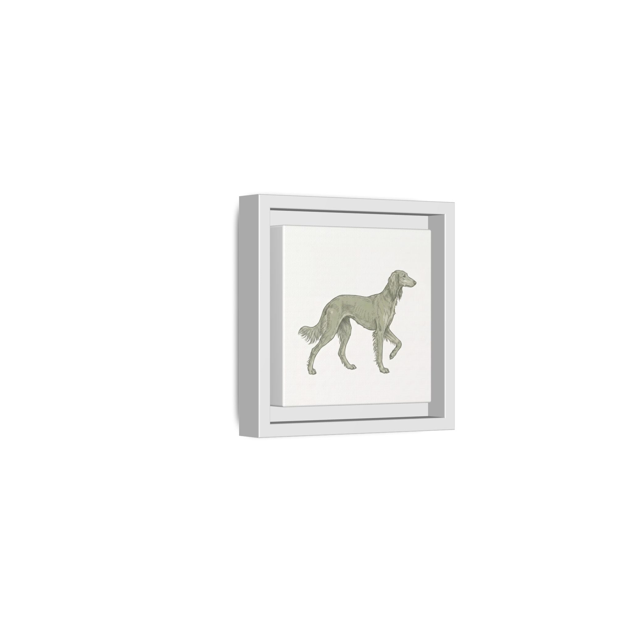 The Saluki Canvas — Framed Hound Print