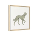 The Saluki Canvas — Framed Hound Print