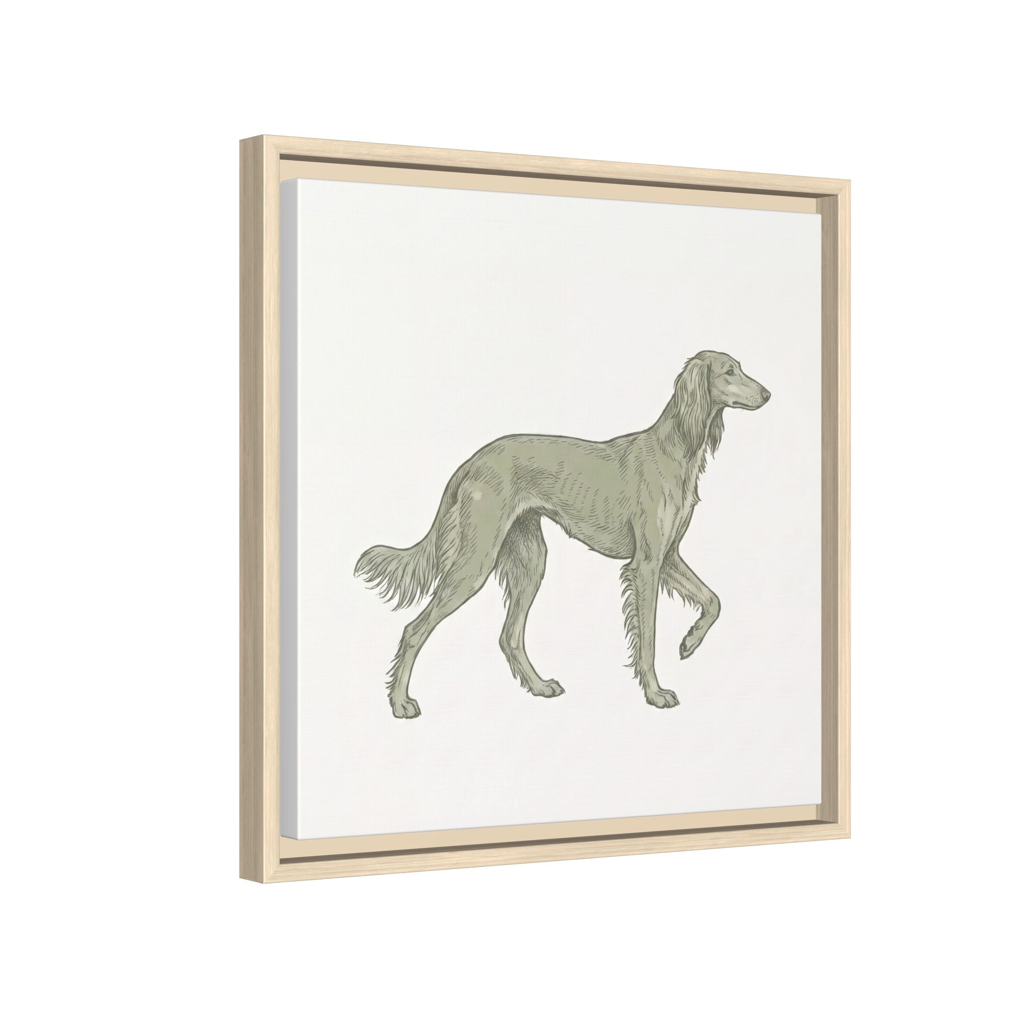 The Saluki Canvas — Framed Hound Print