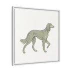 The Saluki Canvas — Framed Hound Print