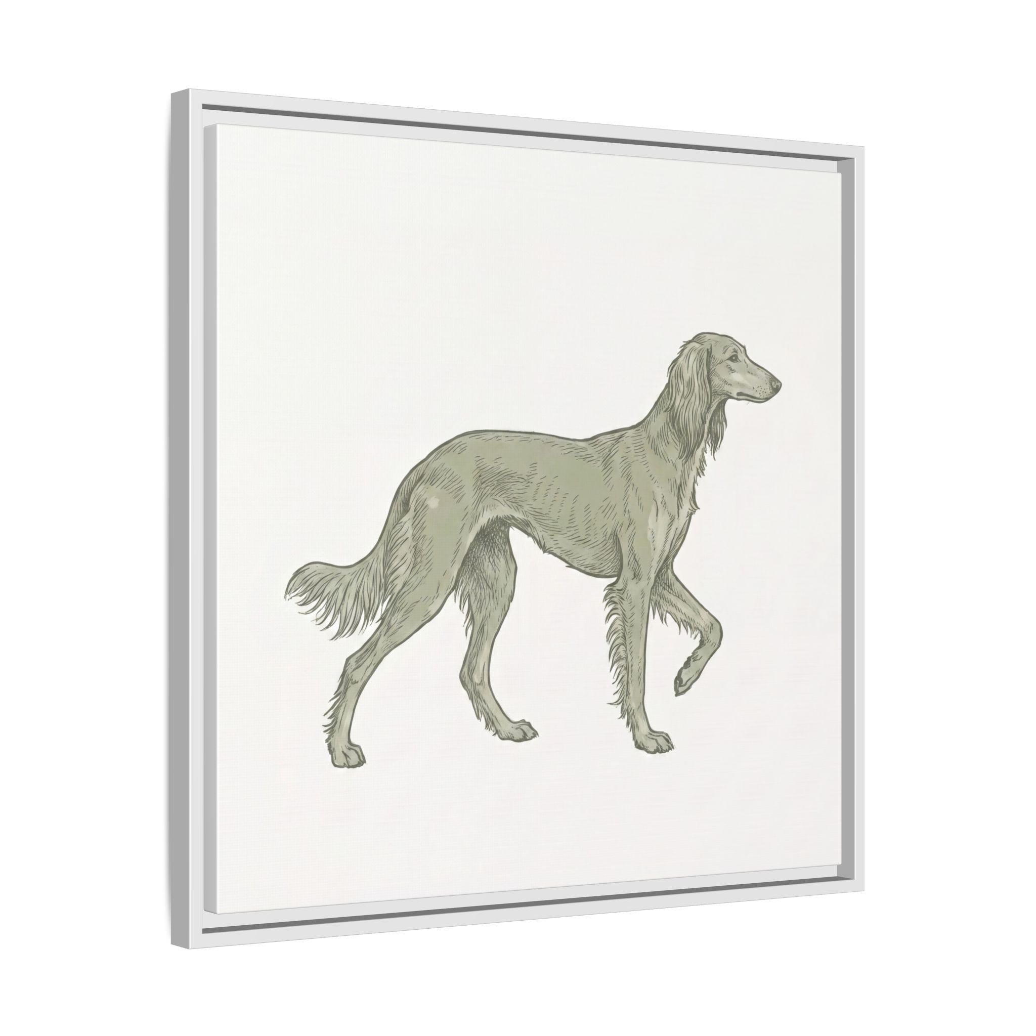 The Saluki Canvas — Framed Hound Print