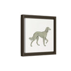 The Saluki Canvas — Framed Hound Print