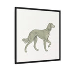 The Saluki Canvas — Framed Hound Print