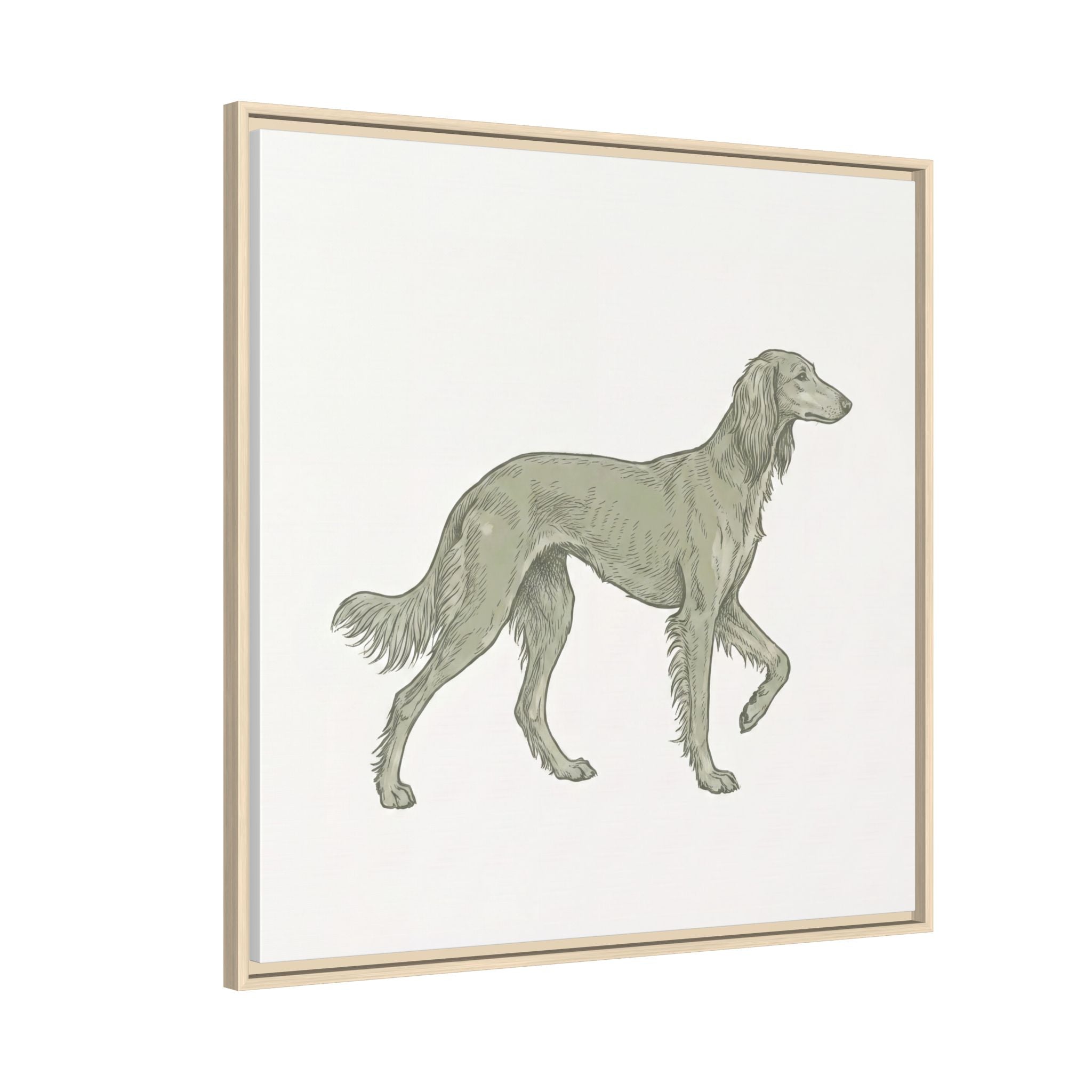 The Saluki Canvas — Framed Hound Print