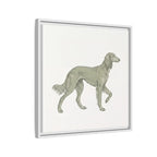 The Saluki Canvas — Framed Hound Print