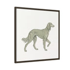 The Saluki Canvas — Framed Hound Print