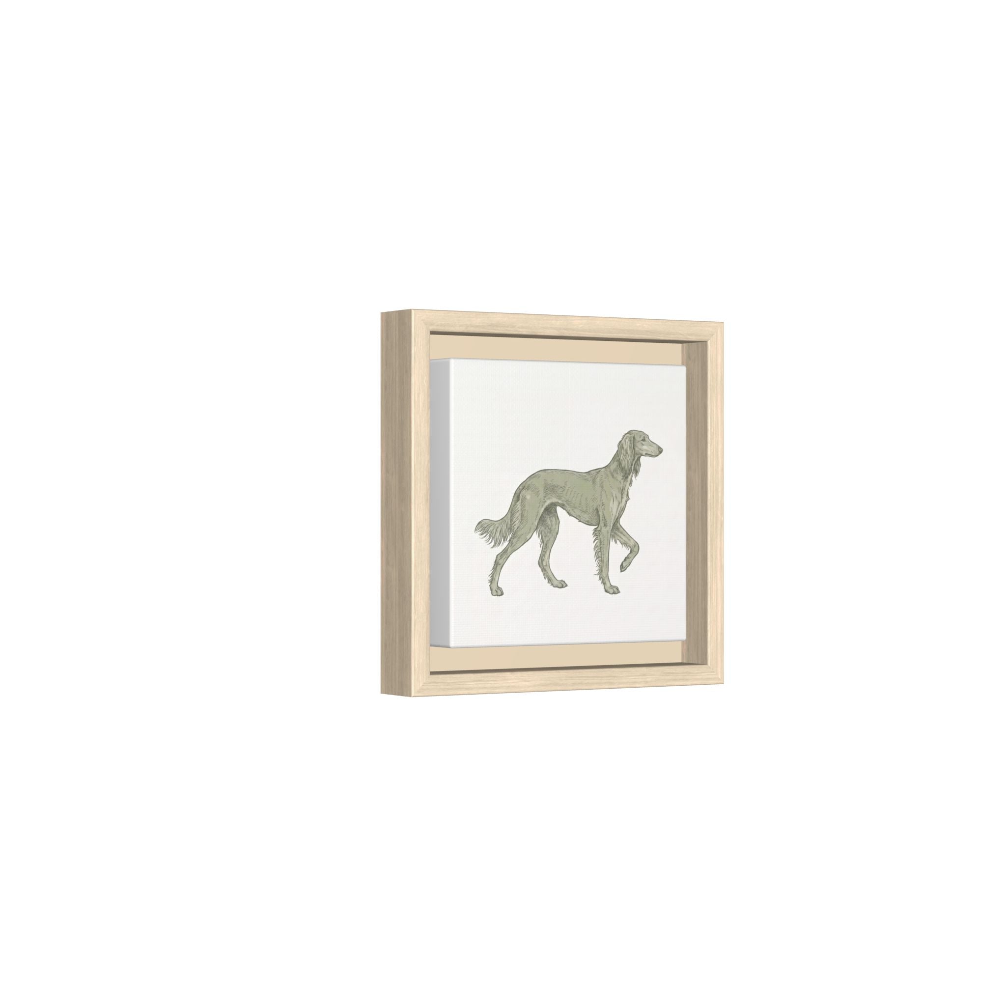 The Saluki Canvas — Framed Hound Print