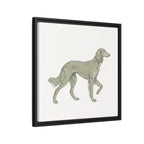 The Saluki Canvas — Framed Hound Print
