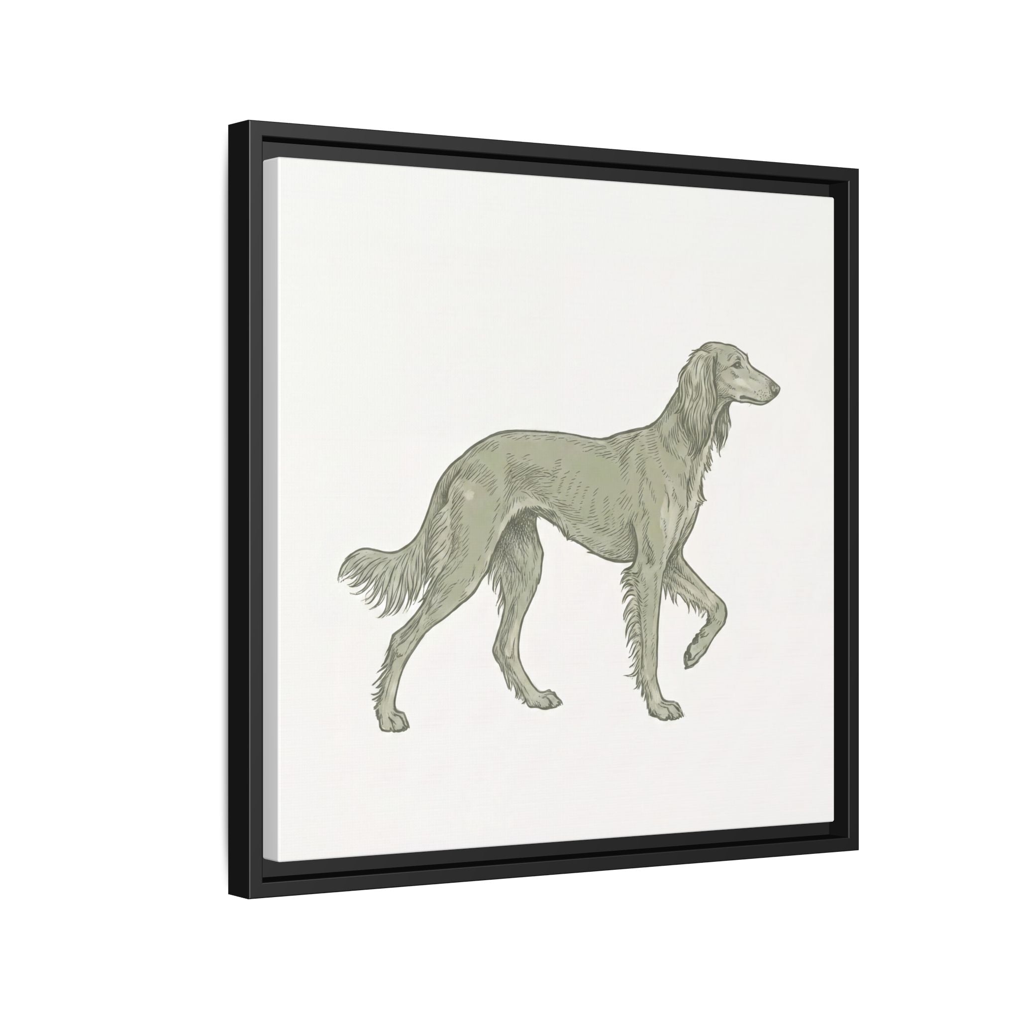 The Saluki Canvas — Framed Hound Print