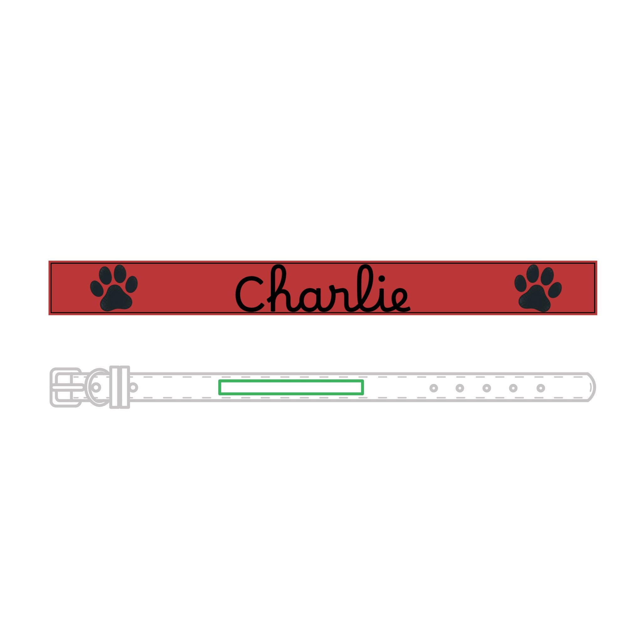 The Engraved Leather Collar — Name & Paw Print — view 5