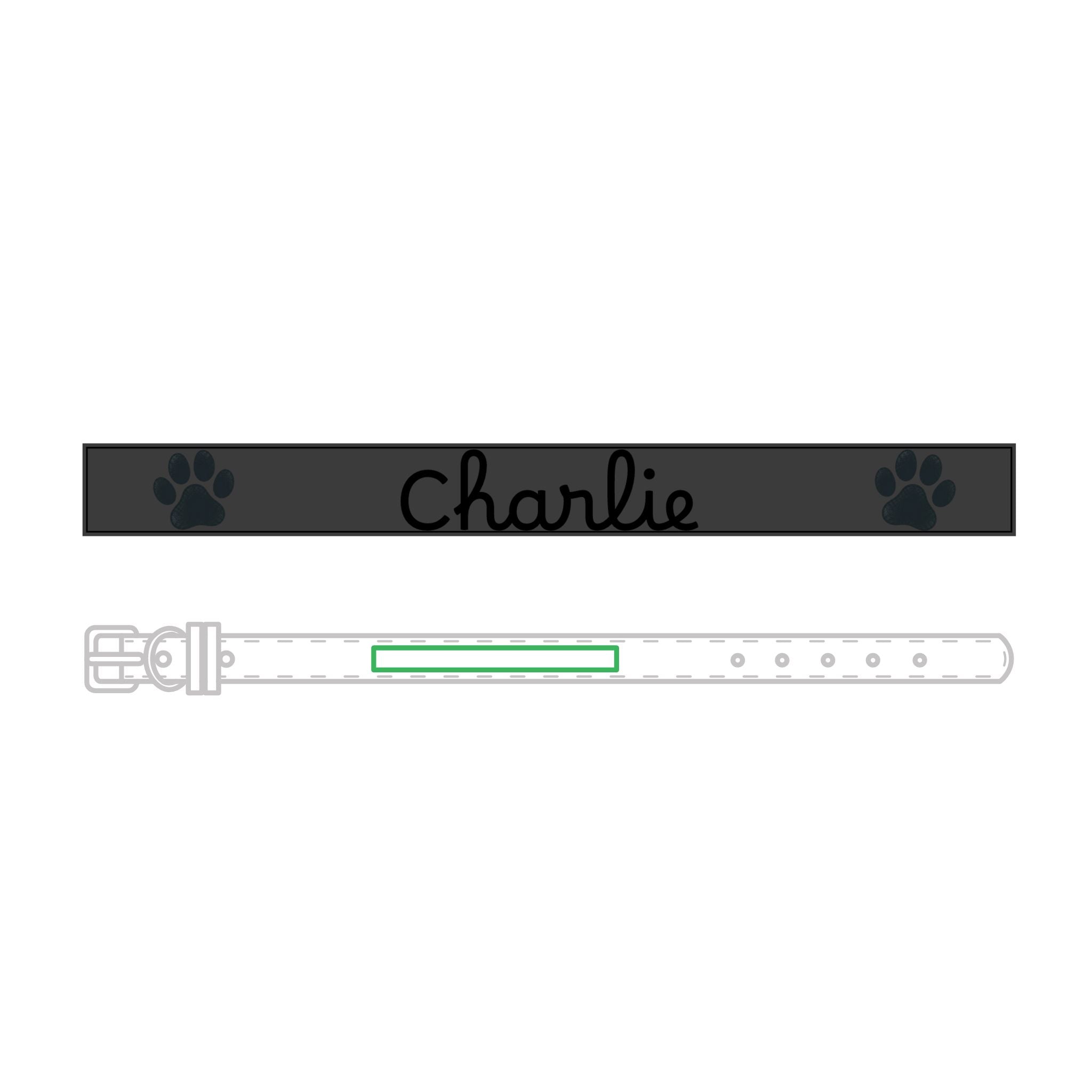 The Engraved Leather Collar — Name & Paw Print — view 19