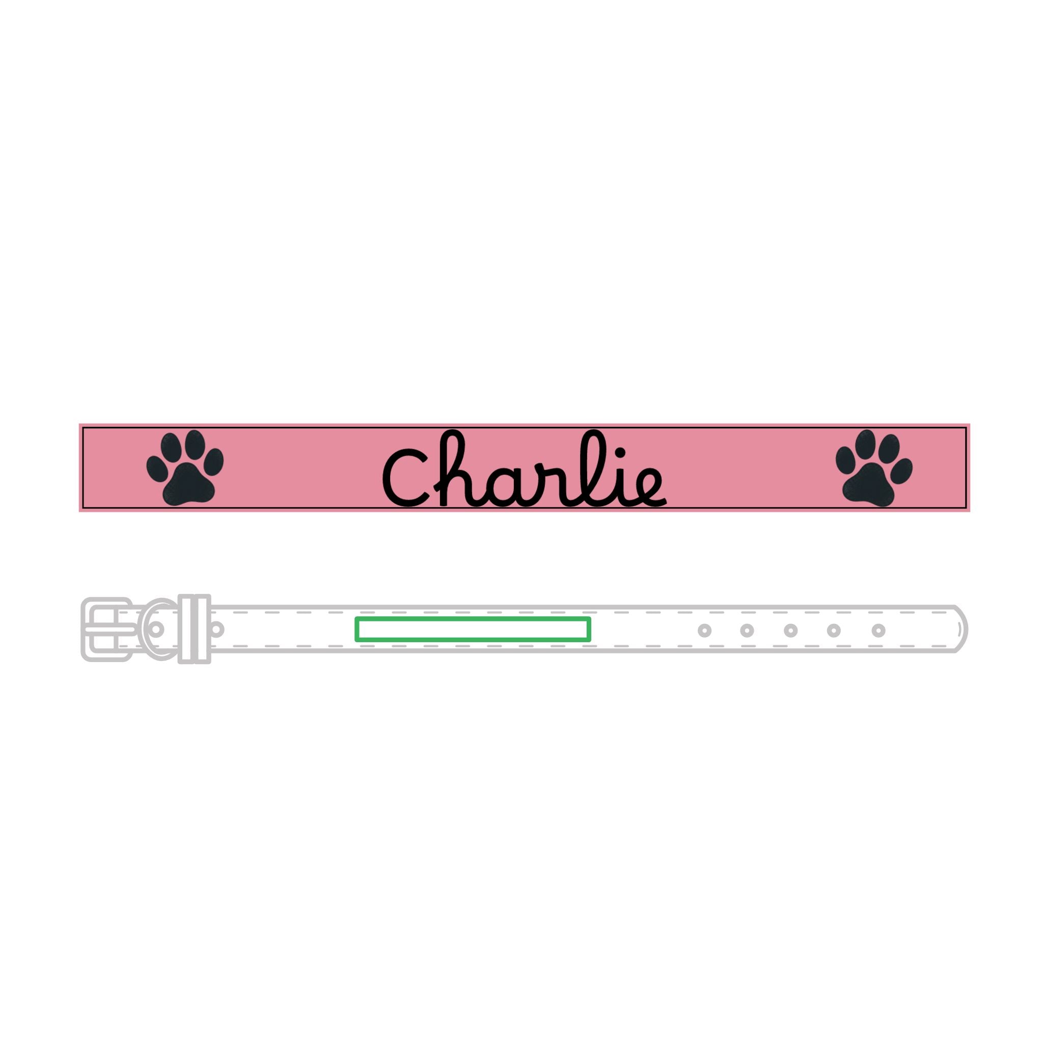 The Engraved Leather Collar — Name & Paw Print — view 3