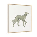 The Saluki Canvas — Framed Hound Print