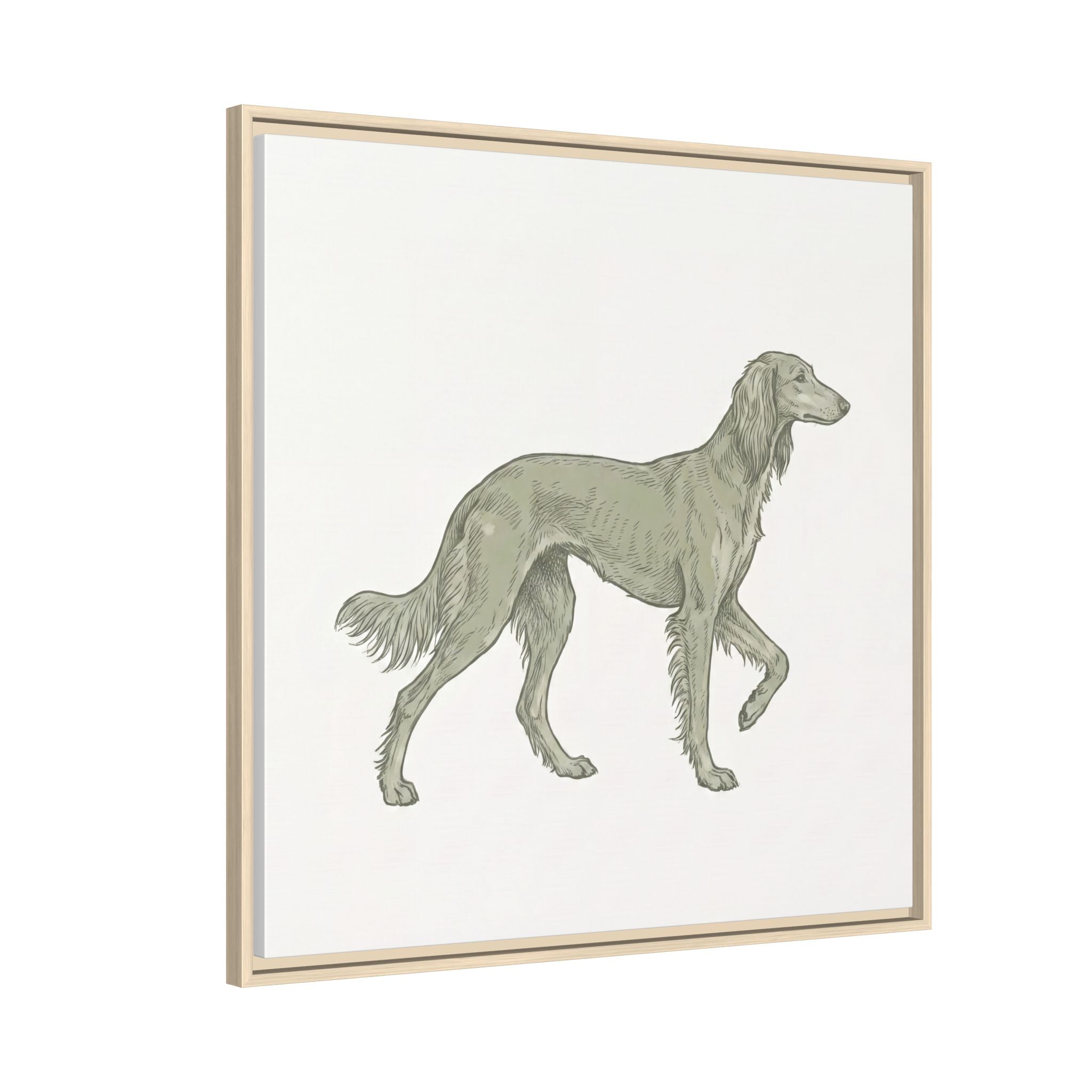 The Saluki Canvas — Framed Hound Print